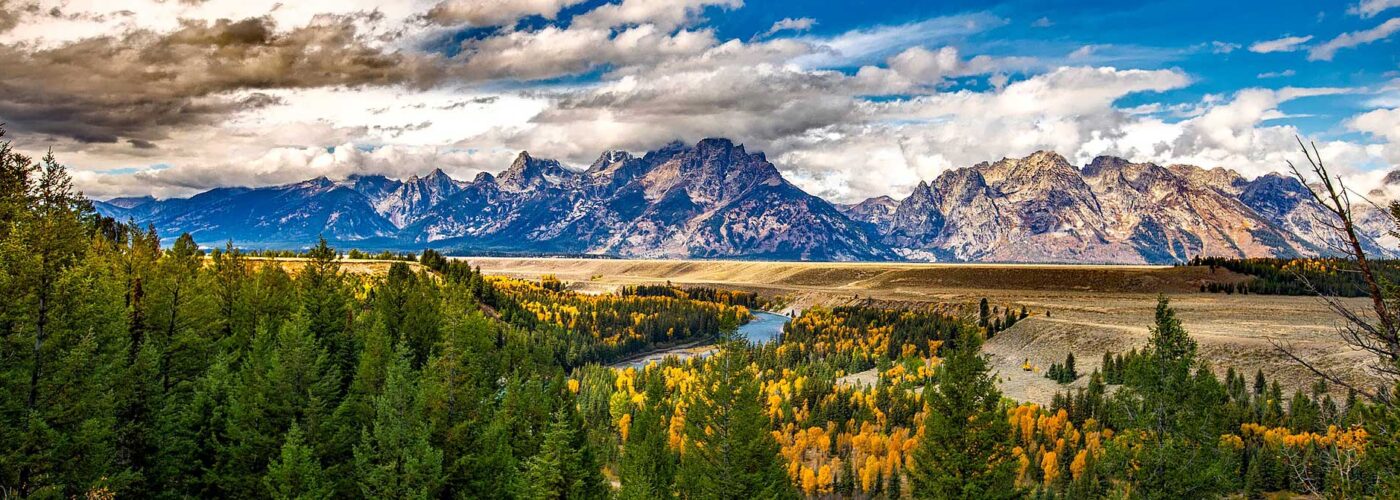 Form a Wyoming Trust Company - American Fiduciary Solutions Form a Wyoming Trust Company - American Fiduciary Solutions