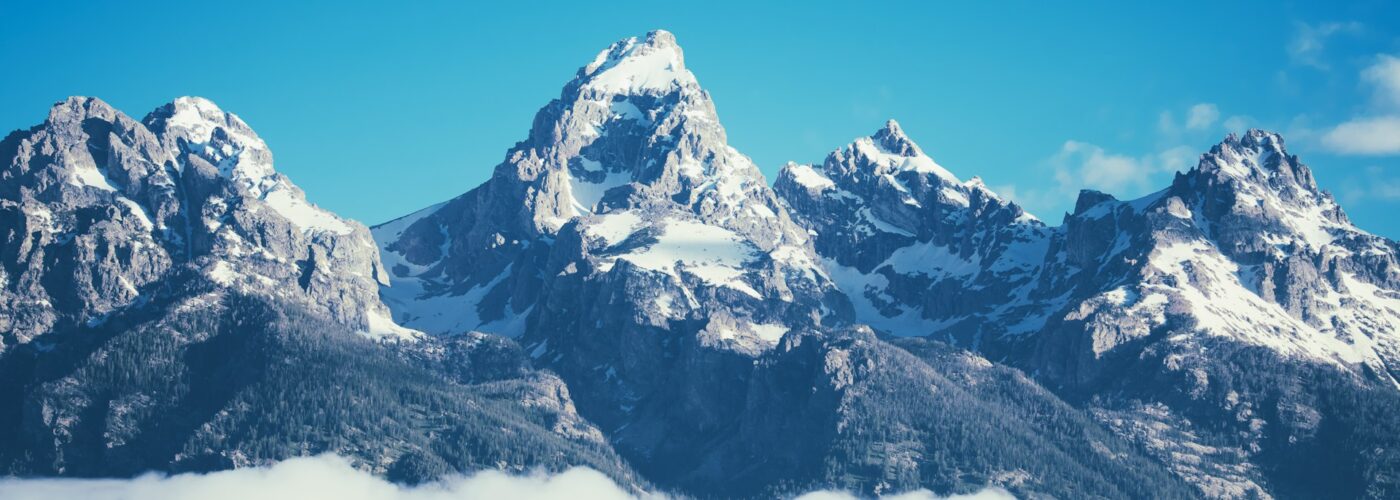 Form a Wyoming Trust Company - American Fiduciary Solutions